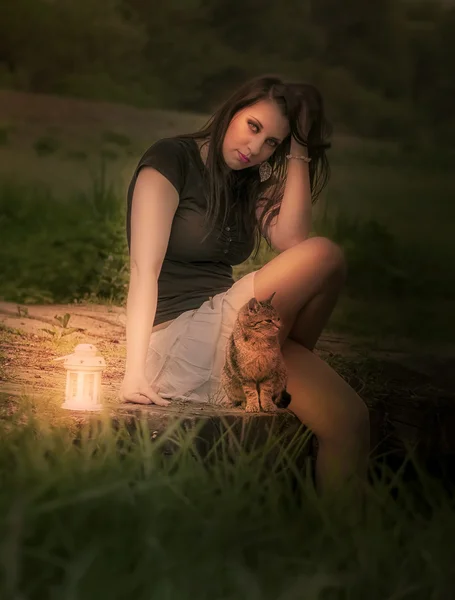 Женщина в лесу с фонарем и кошкой — стоковое фото