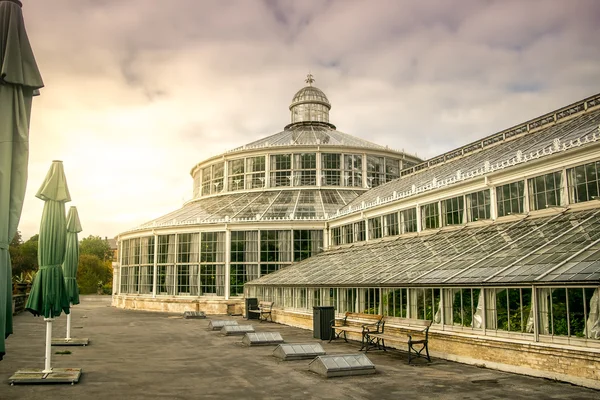 Jardins botaniques en Coppanhagen — Photo