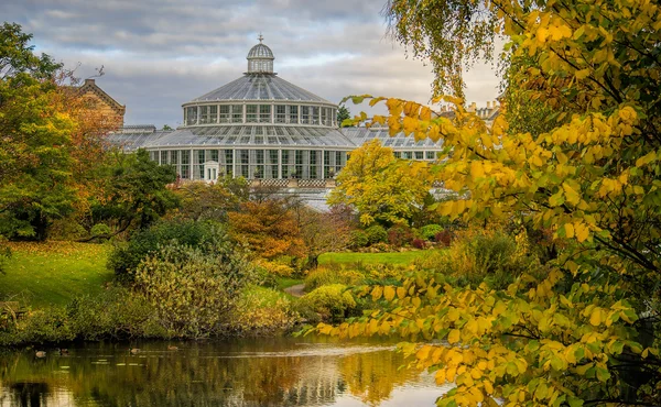 Jardins botaniques à Copenhague — Photo