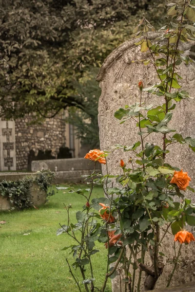 Ancienne pierre tombale abandonnée — Photo