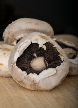 Bir ahşap tahta üzerinde büyük mantar