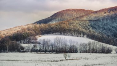 Karlı kış manzarası