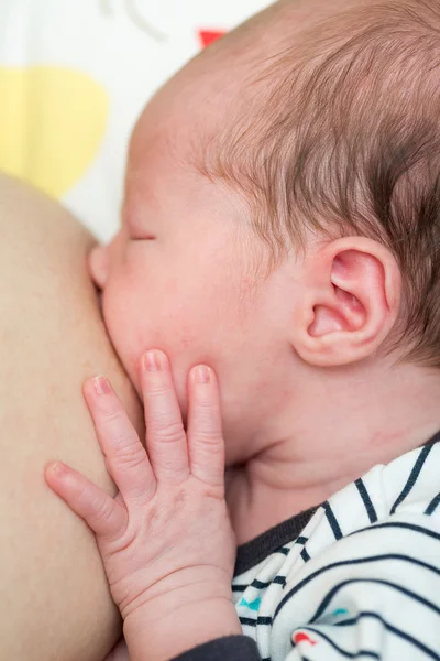 8 days old newborn baby girl during breastfeeding — Stock fotografie