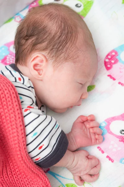 Newborn 8 days old baby sleeping in the crib — Stock fotografie