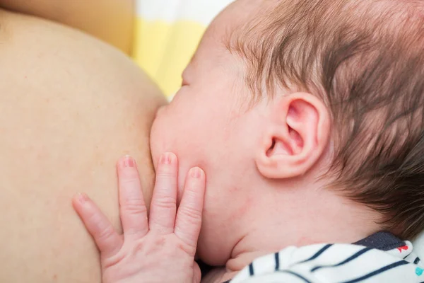 Eight days old newborn baby girl during breastfeeding — Stock fotografie