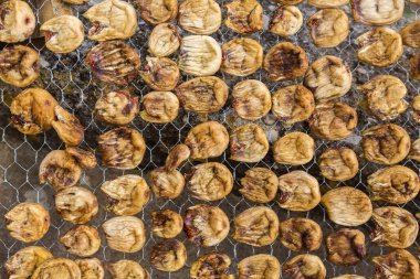 Güneşin altında kurutma taze olgun incir