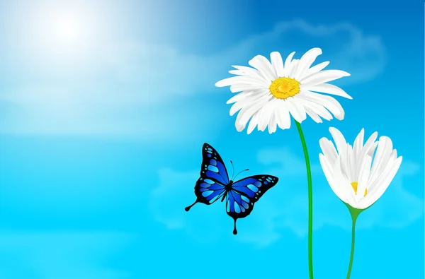 Daisy flowers and butterfly against blue sky — Stock Vector