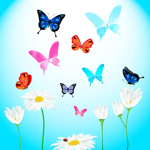 Set of daisies and butterflies — Stock Vector