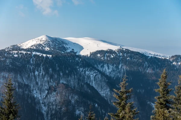 Ηλιόλουστο χειμωνιάτικο πρωινό σε μια κορυφογραμμή βουνού — Φωτογραφία Αρχείου