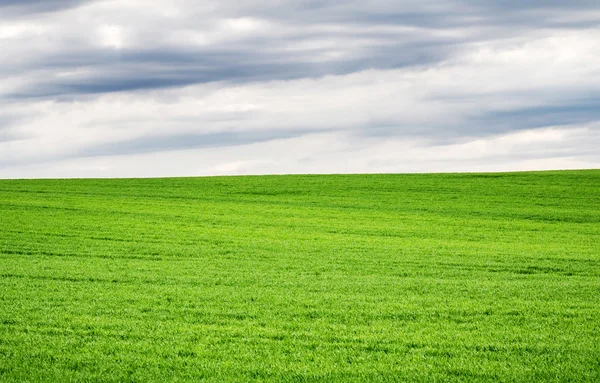 Minimalistisk landskap med fältet och mulen himmel — Stockfoto