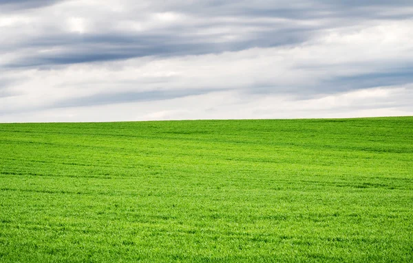 Minimalistické krajinu s poli a zamračená obloha — Stock fotografie