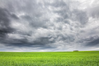 Bahar, yatay, yeşil alan ve çok dramatik gökyüzü