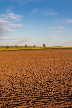 Bahar, yatay, sürülmüş alan ve mavi gökyüzü