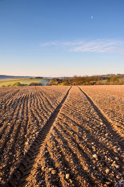 Ruts in plowed field — Stock Photo, Image