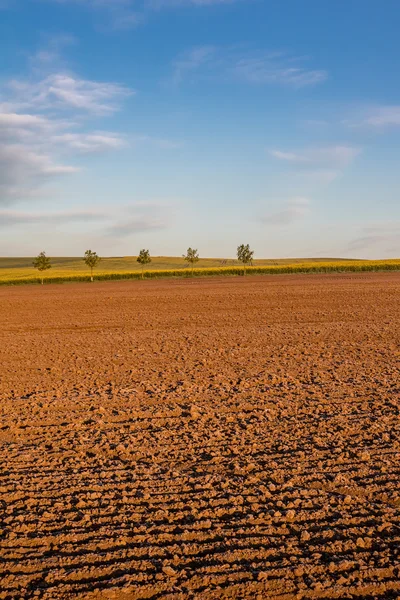 Spring landscape with plowed field and blue sky — Stock Photo, Image