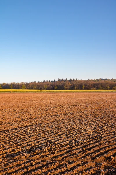 Spring landscape with plowed field and clear blue sky — Stock Photo, Image