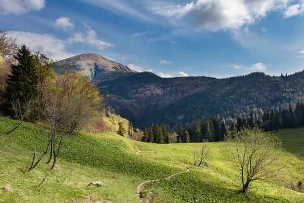 Increíble paisaje de montaña de primavera con cielo azul — Foto de Stock