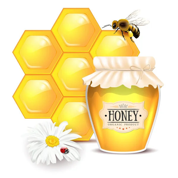 Natureza morta com conceito de mel — Vetor de Stock