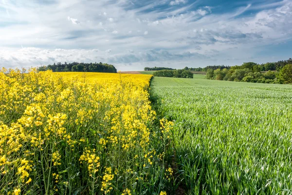 Lente landschap met velden, bossen en blauwe hemel — Stockfoto