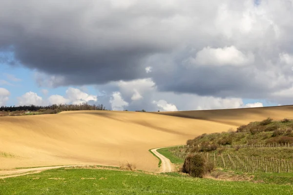 Špinavé Cesty Mezi Zelenou Loukou Vinicemi Oranými Poli Pod Zataženou — Stock fotografie