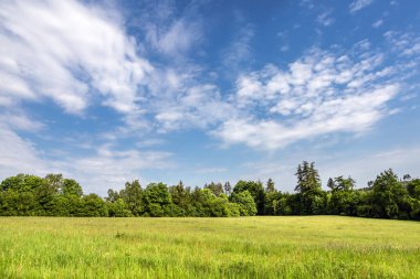Spring or summer landscape with green meadow, forest and blue sky with white clouds - Czech Republic, Europe
