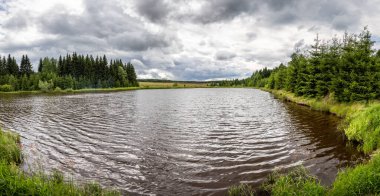 Yaz mevsiminde gölet ve bulutlu gökyüzü altındaki ormanlar - Çek Cumhuriyeti, Avrupa