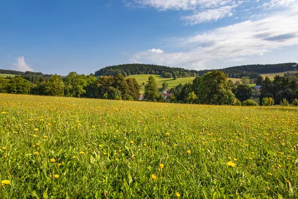 Paisaje Verano Con Prados Florecientes Árboles Cielo Azul Con Nubes — Foto de Stock