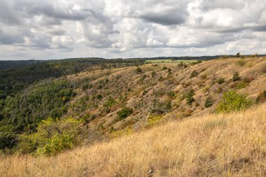 Mohelno köyü yakınlarında Serpentinite bozkırı adı verilen Ulusal Doğa Anıtı - Çek Cumhuriyeti, Avrupa