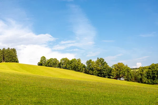 Paesaggio Estivo Con Prato Fiorito Alberi Cielo Blu Con Nuvole — Foto Stock