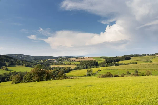 Paisaje Verano Con Prados Verdes Pastos Árboles Bajo Cielo Azul — Foto de Stock