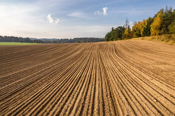 Autumn Rural Countryside Ruts Plowed Field Colorful Trees Blue Sky — Stock Photo, Image