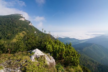 ochtend op zomer bergrug - Slowakije
