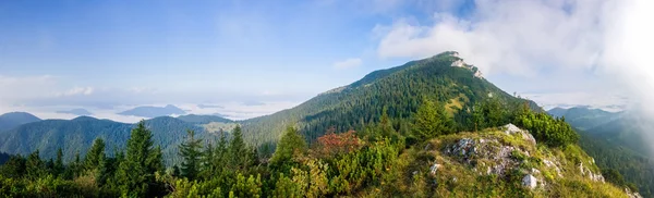 Panorama del increíble paisaje de montaña de verano - Eslovaquia —  Fotos de Stock