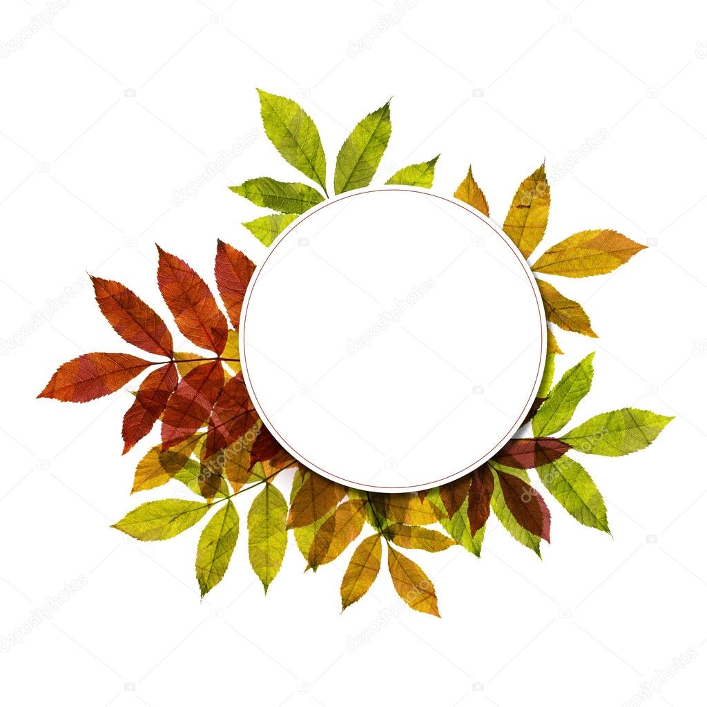 Autumnal background with colorful leafs