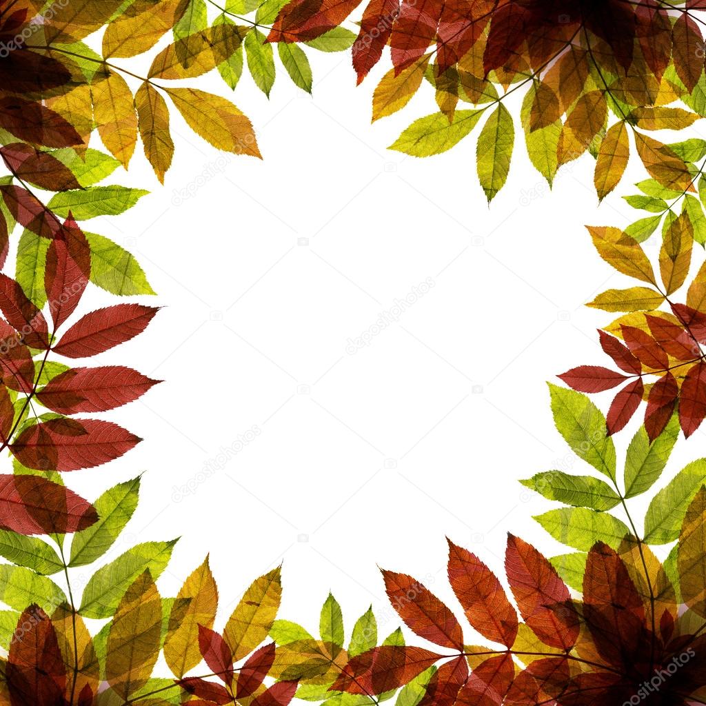 Autumnal background with colorful leafs and place for text