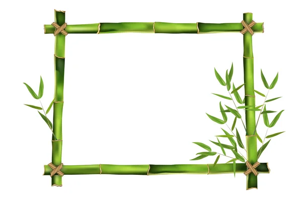 Bamboo frame for your message — Stock Vector