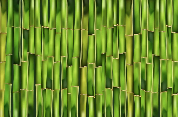 Bamboo background — Stock Vector