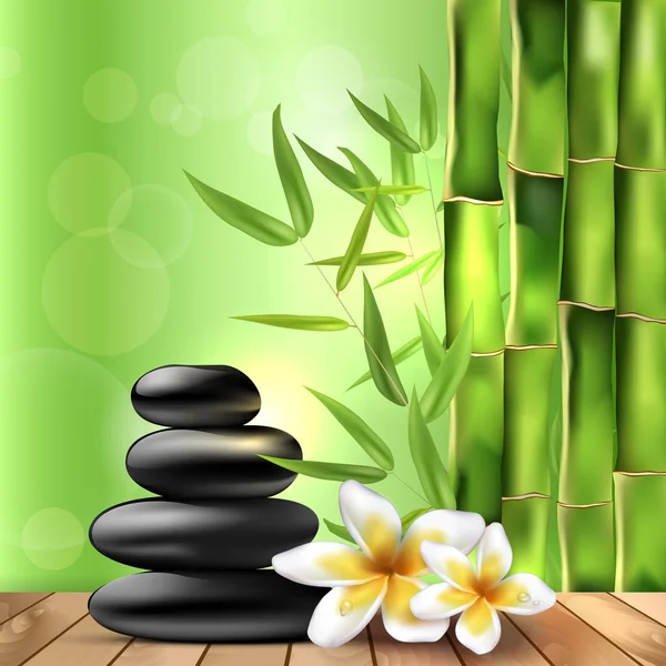 Bambú, flores y piedras de frangipani - fondo de spa — Vector de stock