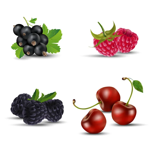 Ensemble de fruits - cassis, framboise, mûre et cerise — Image vectorielle