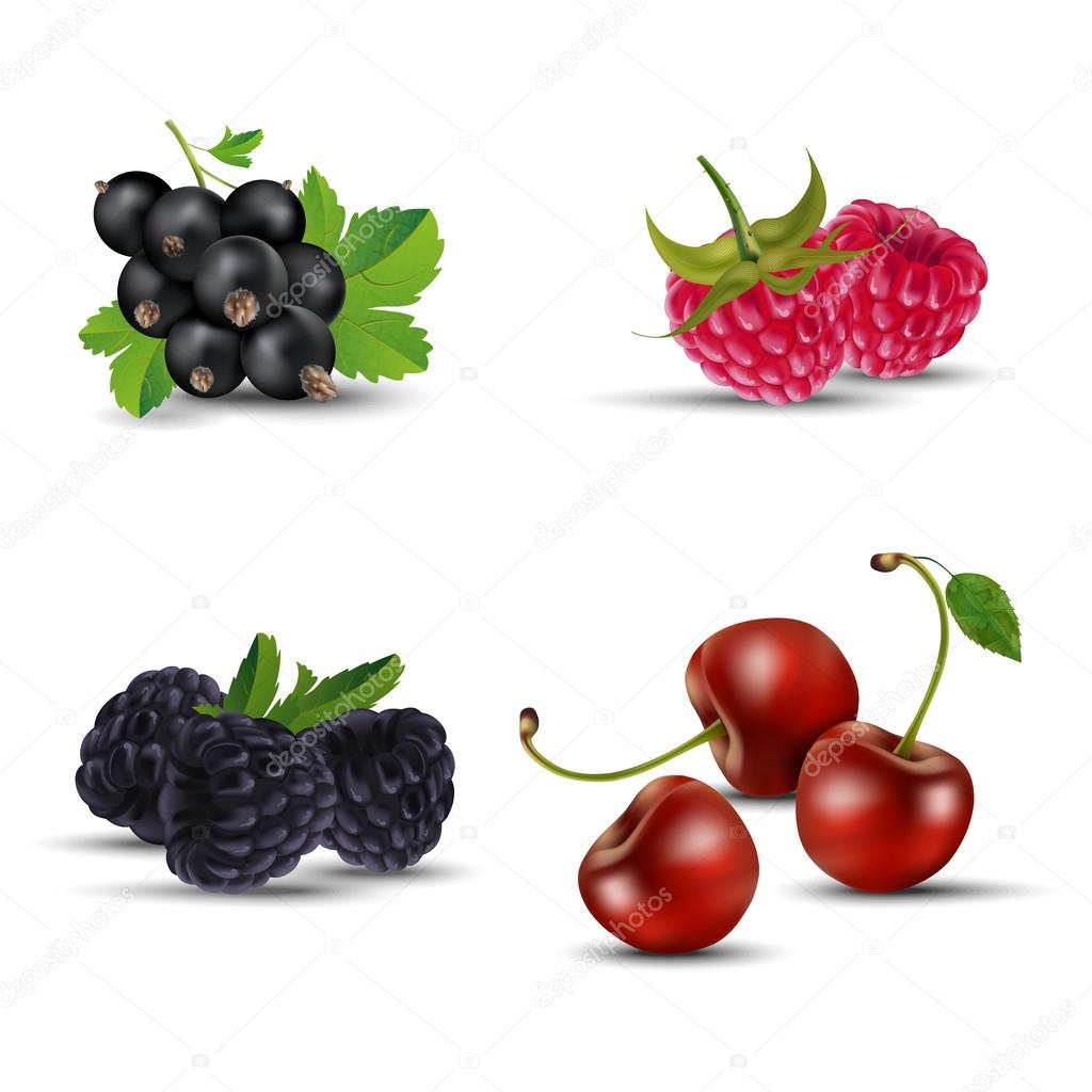 Set of fruits - blackcurrant, raspberry, blackberry and cherry
