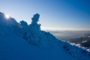 Bir dağ sırtı güneşli sabahı
