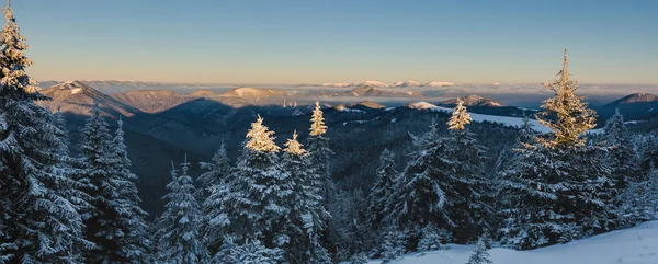 日出在冬天山-更大的 Fatra，斯洛伐克 — 图库照片