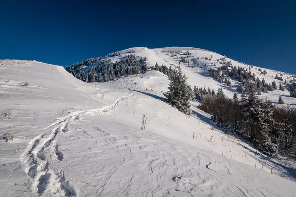Сонячний зимовий ранок на гірському хребті — стокове фото