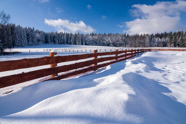 Campo de inverno incrível com cerca de madeira — Fotografia de Stock