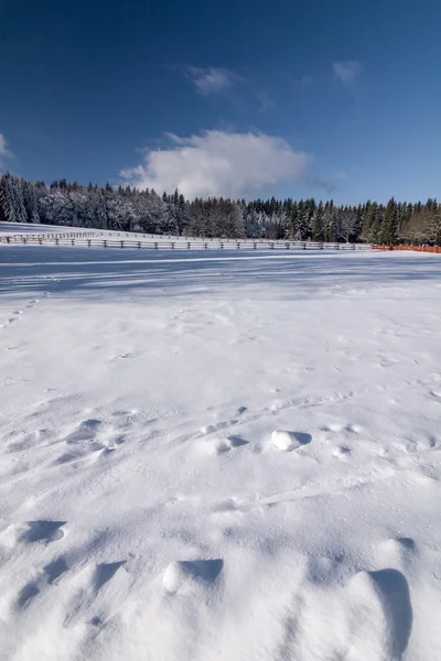 Increíble campo de invierno con valla de madera —  Fotos de Stock