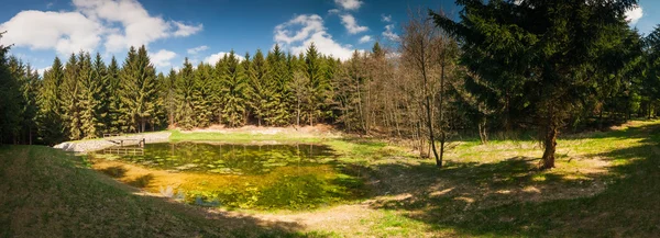 Panorama malé jezírko v lese — Stock fotografie