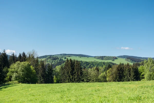 Spring countryside with pastures, trees and blue sky — Stock Photo, Image