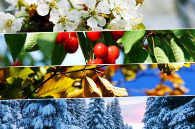Kolaj - yatay Banner dördüncü sezon