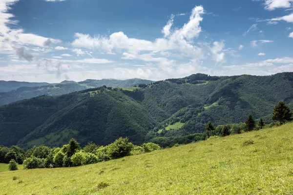 Primavera montañas - Svydovets gama, Ucrania —  Fotos de Stock