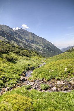 Creek şaşırtıcı yeşil dağ Vadisi